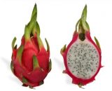 klkart-exotic-fruits-and-veggies-dragon-fruit
