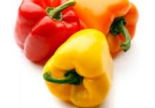 klkart-exotic-fruits-and-veggies-mixed-capsicum