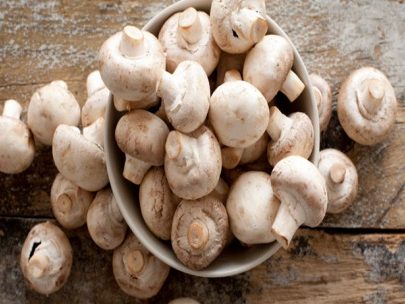 klkart-exotic-fruits-and-veggies-mushrooms