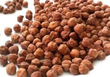 klkart-fresh-sprouts-brown-chana