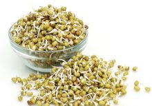 klkart-fresh-sprouts-green-moong