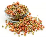 klkart-fresh-sprouts-mixed-grams