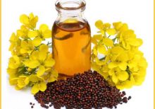 klkart-organic-oil-organic-mustard-oil